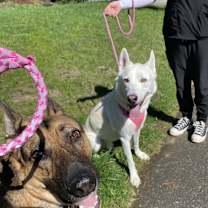 Thumbnail photo of Loki #2