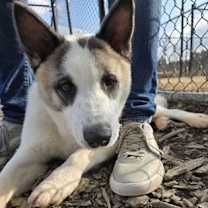 Thumbnail photo of Max Montero #2