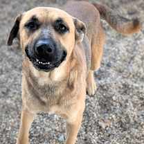 Thumbnail photo of Kiko #1