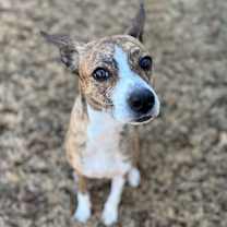 Thumbnail photo of Mani #2