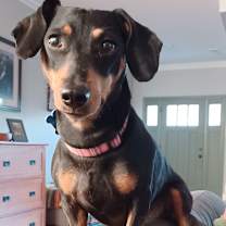 Thumbnail photo of Winnie #1