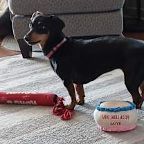 Thumbnail photo of Winnie #2