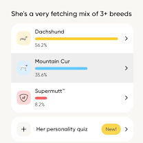 Thumbnail photo of Winnie #3