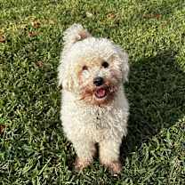 Thumbnail photo of Lucy #1