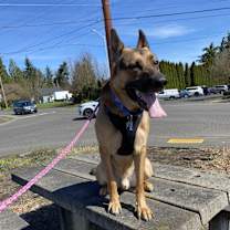 Thumbnail photo of Rocky #1