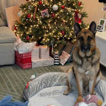 Thumbnail photo of Milo #3