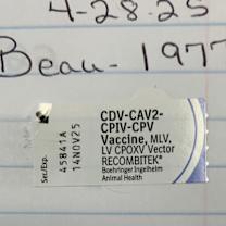 Thumbnail photo of Odin #3