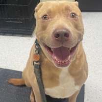 Thumbnail photo of Simba #1