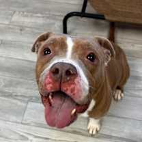 Thumbnail photo of Irene #2