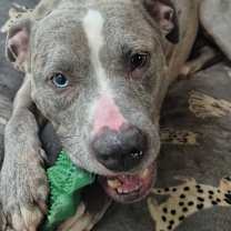 Thumbnail photo of Zombie #2