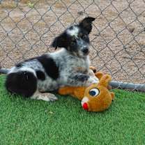 Thumbnail photo of Cider #1