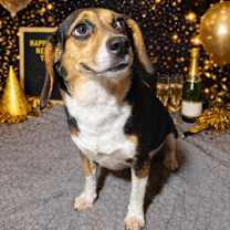 Thumbnail photo of SUGAR #2