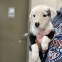 Thumbnail photo of Paul #2