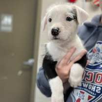 Thumbnail photo of Paul #3