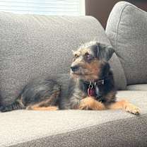 Thumbnail photo of Amina #2