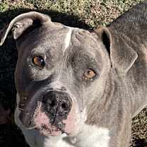 Thumbnail photo of Ferdinan #1