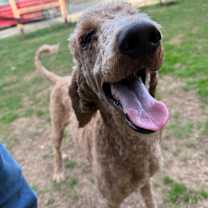 Thumbnail photo of Teddy Gram #2