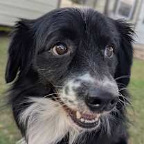 Thumbnail photo of Whisper #3