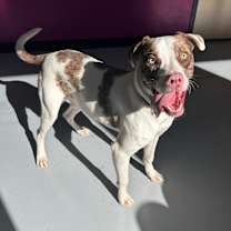 Thumbnail photo of Turkey #3