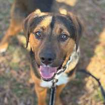 Thumbnail photo of Kendrick #1