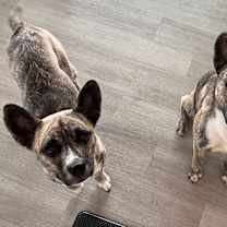 Thumbnail photo of Mora and Melon #3