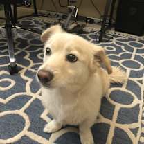 Thumbnail photo of Oscar #1