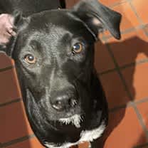 Thumbnail photo of Mimi #2