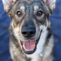 Thumbnail photo of Winston Furrchill #1