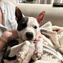 Thumbnail photo of Cheer #2