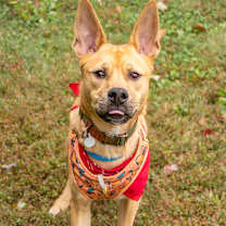 Thumbnail photo of Ranger #3