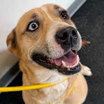 Thumbnail photo of Athena #1