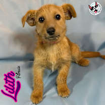 Thumbnail photo of Lilith #1