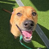 Thumbnail photo of Zero #3