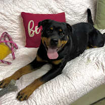 Thumbnail photo of Zoey #3