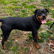 Thumbnail photo of Zoey #4