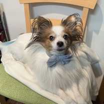 Thumbnail photo of Marty #2