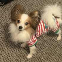 Thumbnail photo of Marty #3