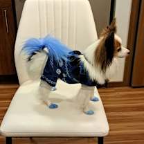 Thumbnail photo of Marty #4