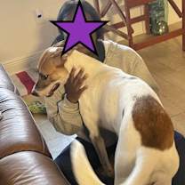 Thumbnail photo of Scones #2