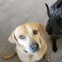 Thumbnail photo of Benny #2