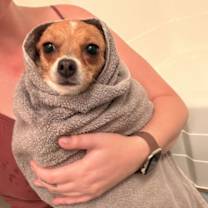 Thumbnail photo of Sienna #4