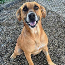 Thumbnail photo of Elias #2