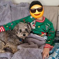 Thumbnail photo of Zeppelin #4