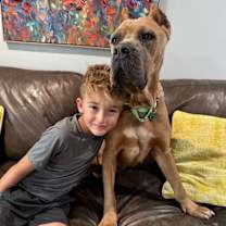 Thumbnail photo of Brandy belle #2