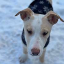 Thumbnail photo of Harrison #3