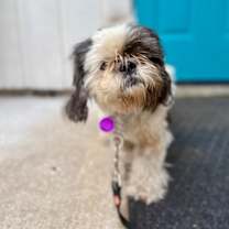 Thumbnail photo of Tessa Casas #2