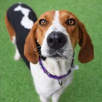 Thumbnail photo of River #1