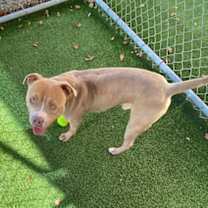 Thumbnail photo of Vincent #3