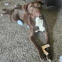 Thumbnail photo of Sally #3