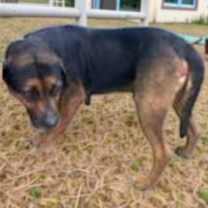 Thumbnail photo of Hubba Bubba *Bones* #2